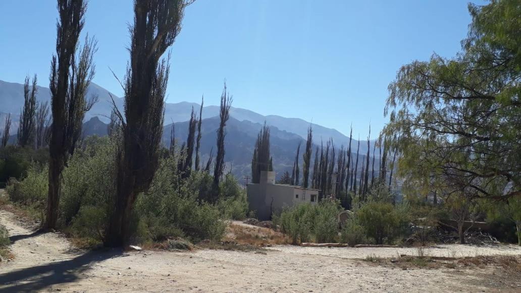 Cabanas La Esther Tilcara Pokoj fotografie