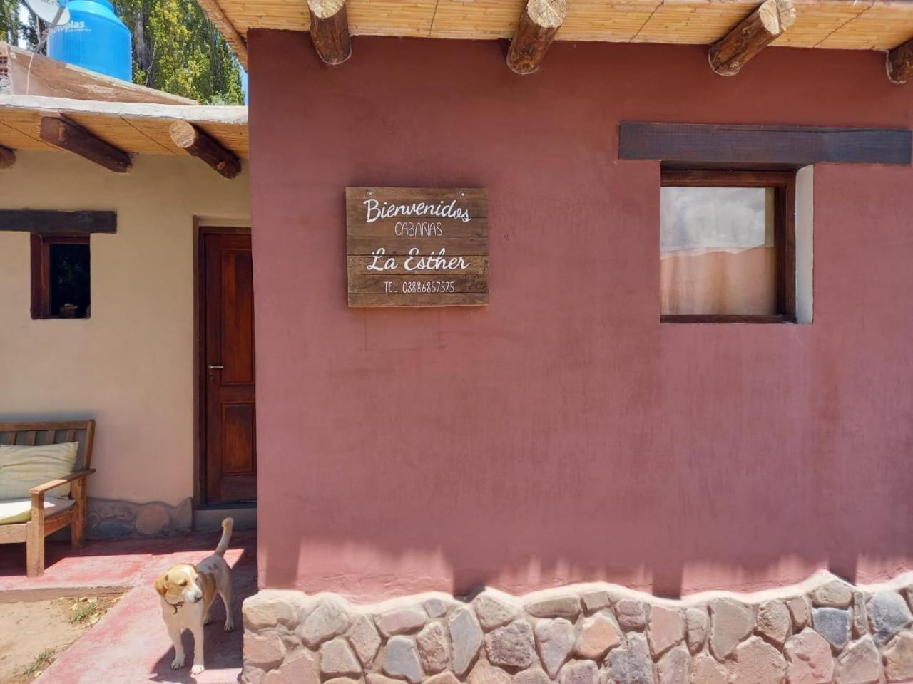 Cabanas La Esther Tilcara Exteriér fotografie
